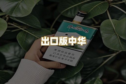 出口版中华